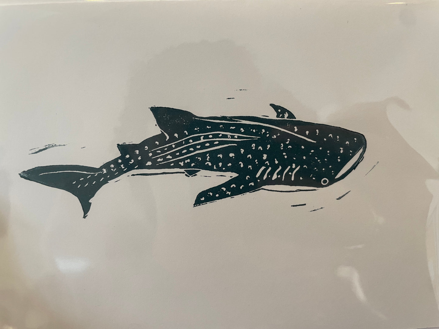 Whale Shark