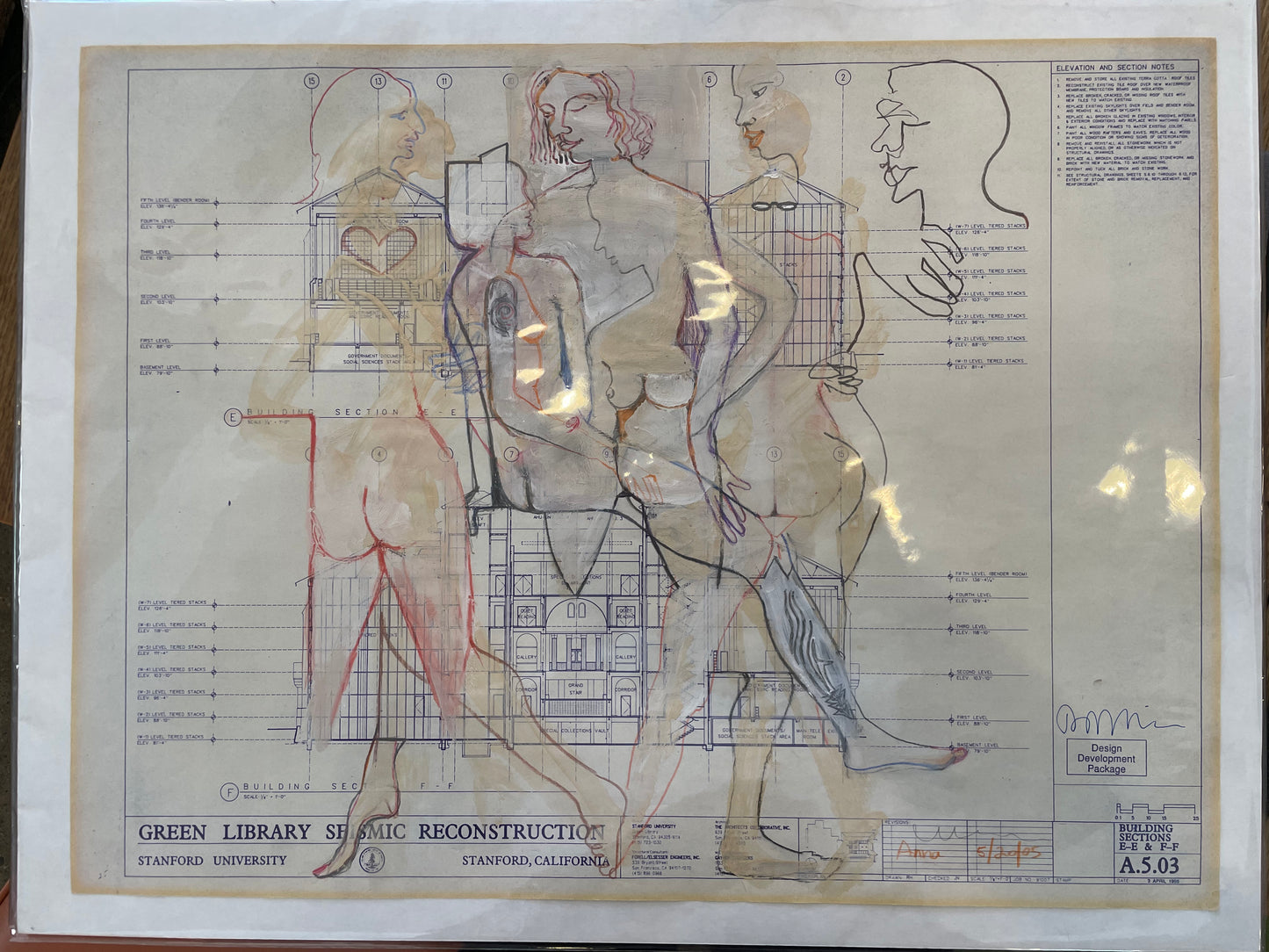 ReModeling-Green Library: Anna/Building Sections E-E & F-F/A.5.03