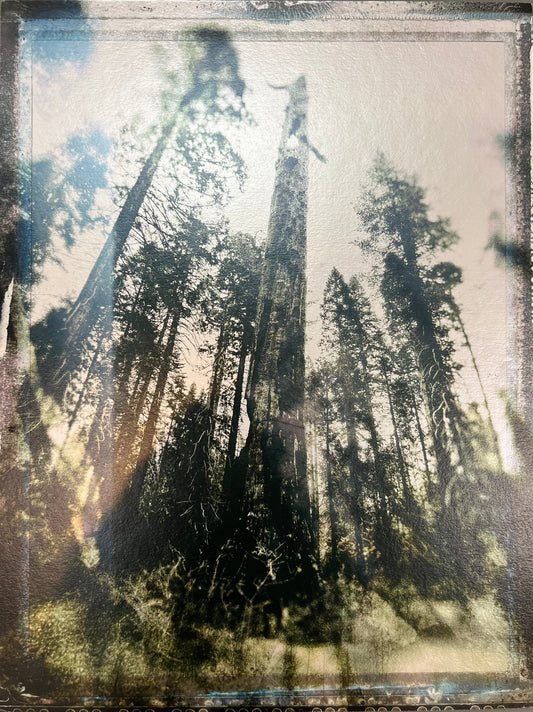 The Stand