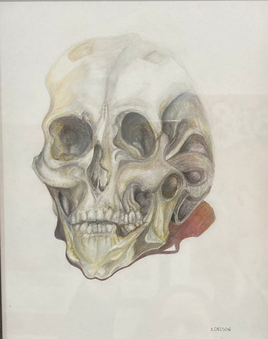 Skull