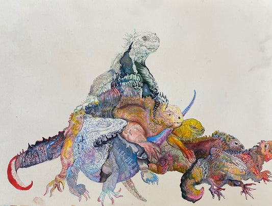 Unfinished Iguanas