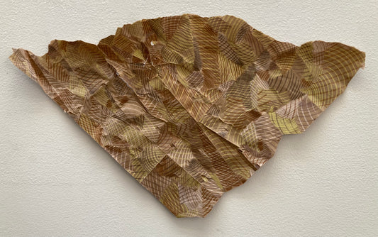 Shipped 015 (Altered by C. Arcibal)