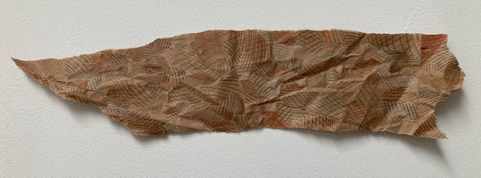 Shipped 019 (Altered by C. Arcibal)