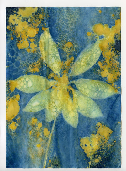 Cyanotype Abstraction #1