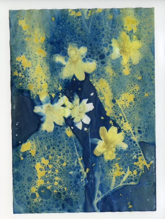 Cyanotype Abstraction #2