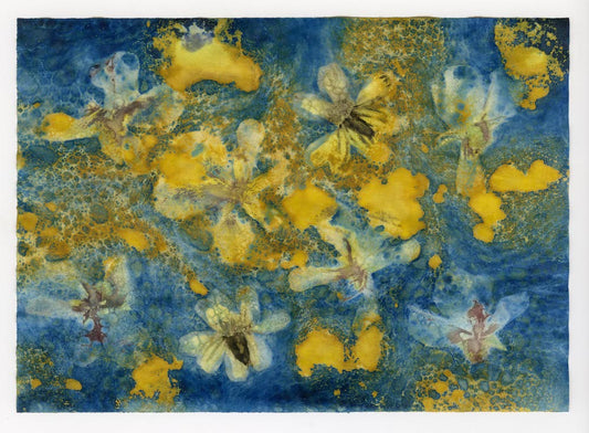 Cyanotype Abstraction #3