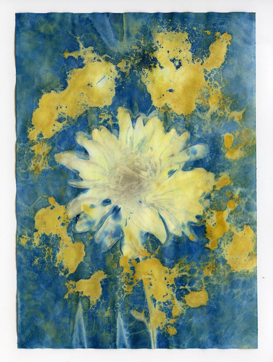 Cyanotype Abstraction #4
