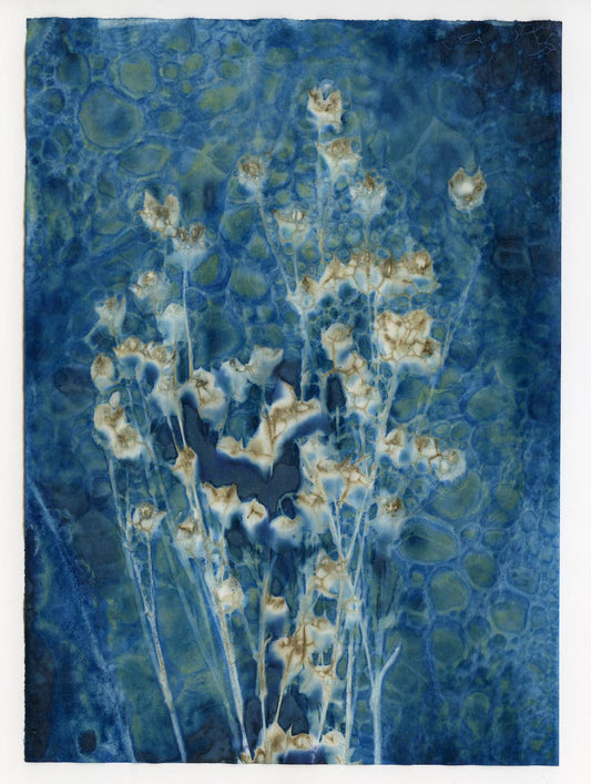 Cyanotype Abstraction #5