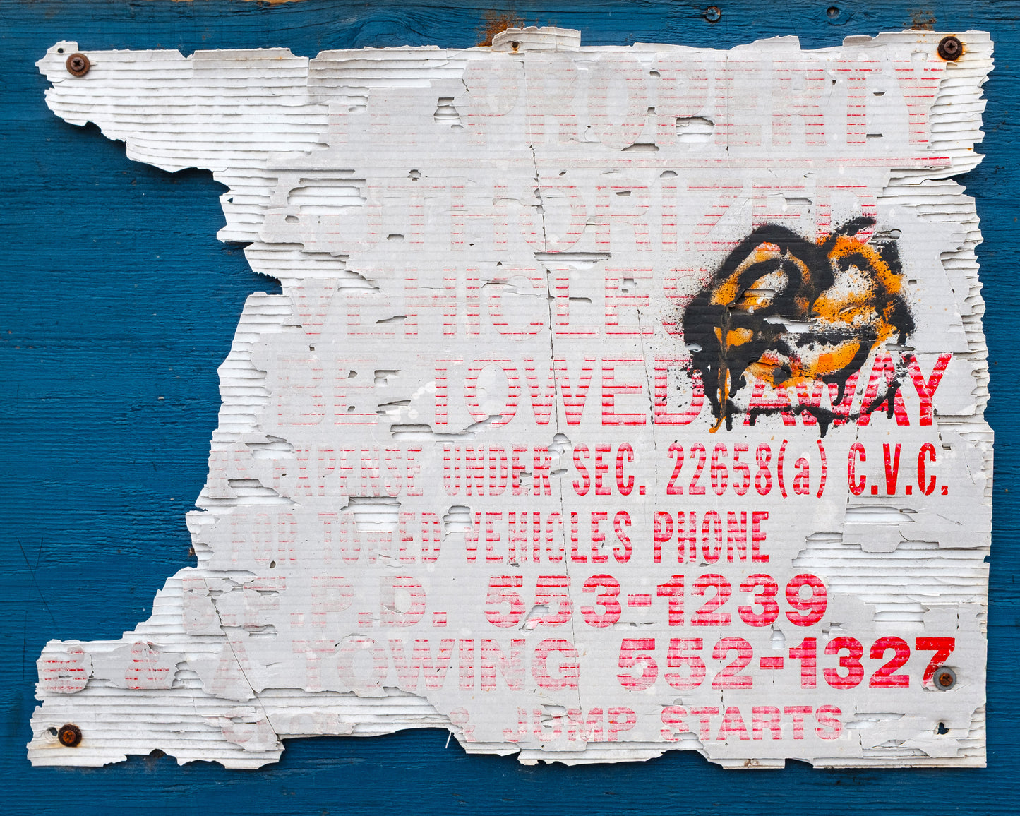 Instructions Unclear Parked Anyway 1500 19th Avenue