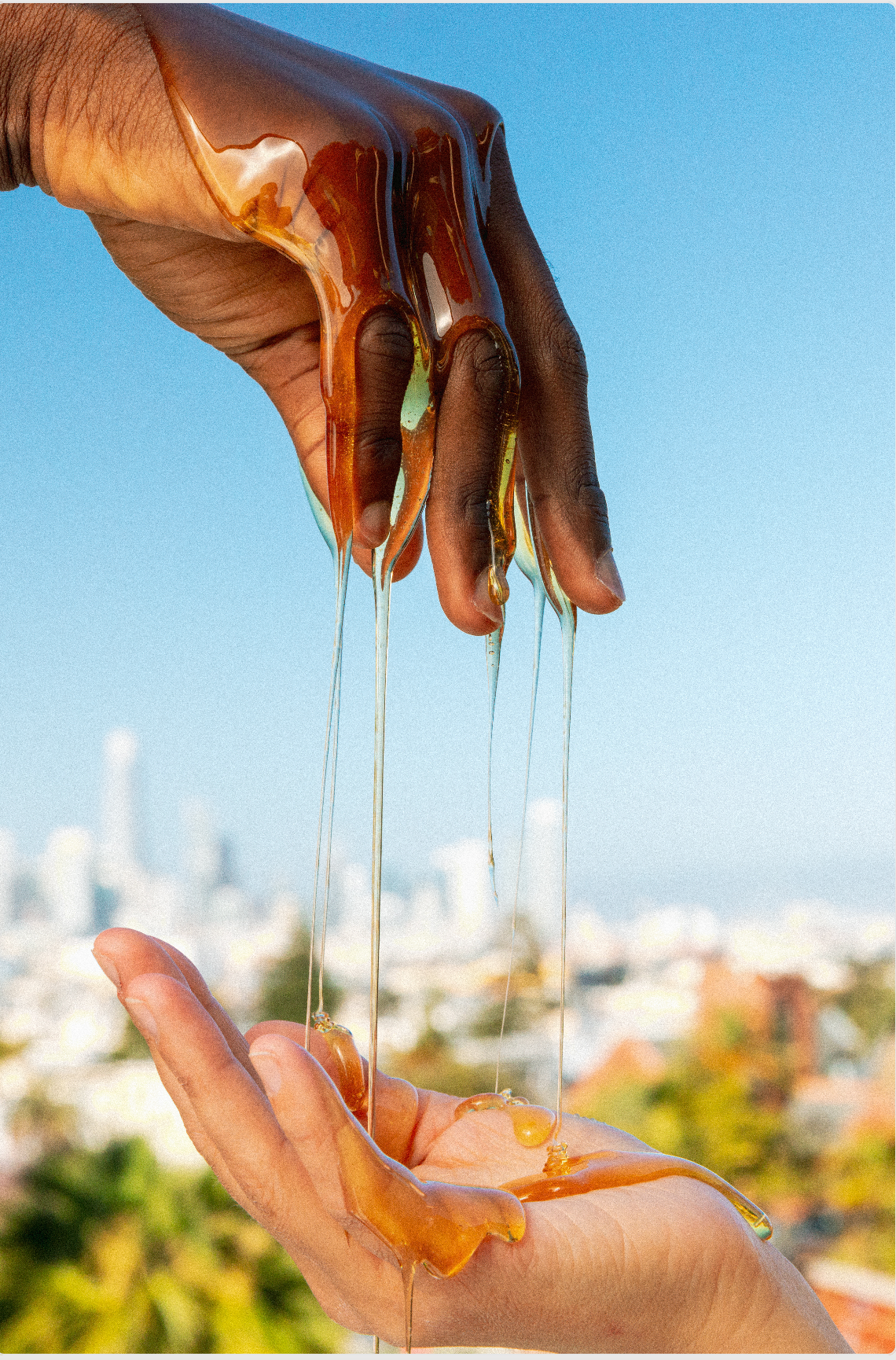 Million Dollar Honey / Honey Made by Queer Bees in San Francisco