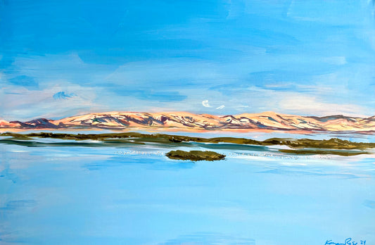 SF Bay South Before Infrastructure