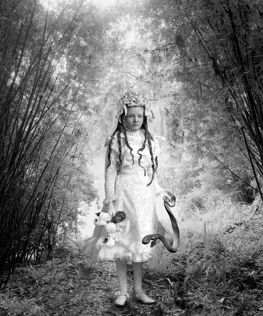 Medusa at 12/Generation Alpha