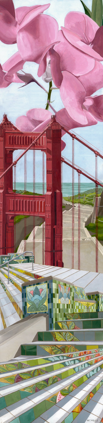 Lincoln Park Steps and Land’s End: Orchids