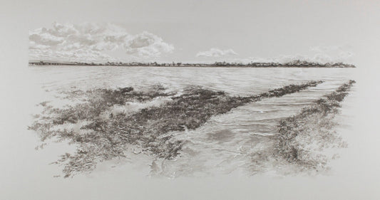 Shoreline Drive, Alameda (elev. 3ft)