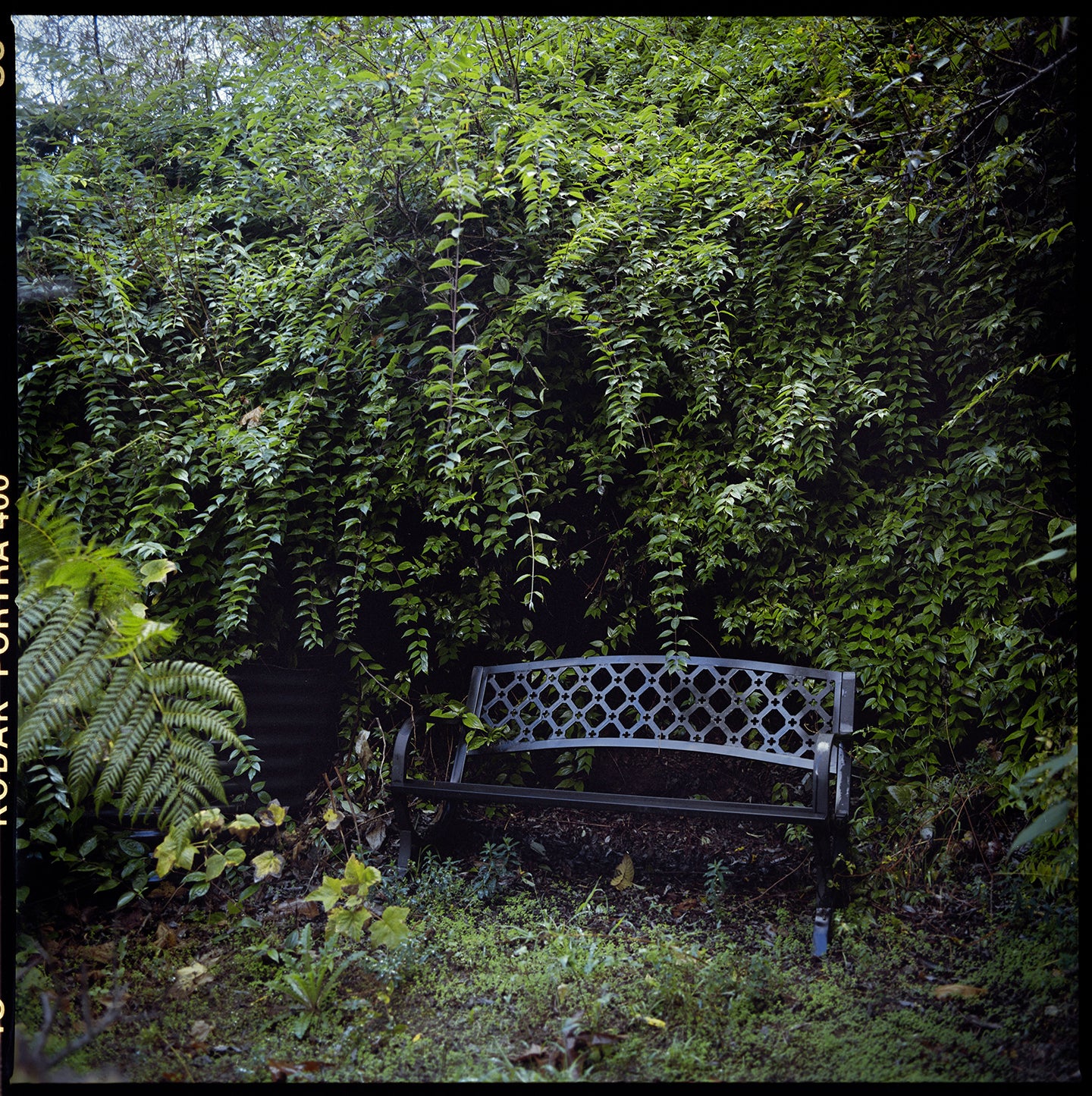 Untitled (Dragon House)