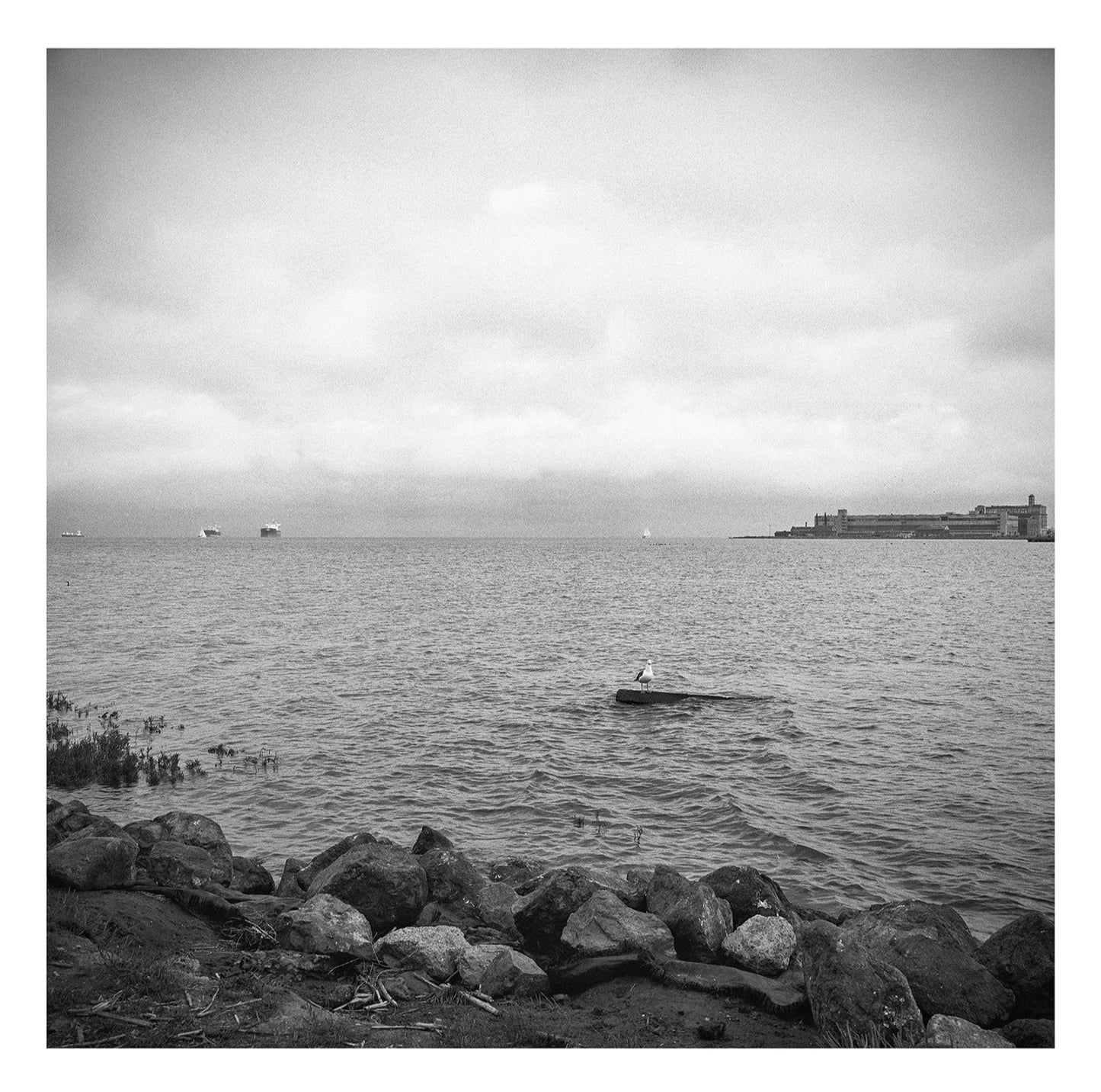 Herons Head 3