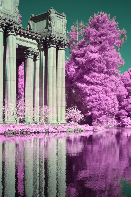 Premonitions 6