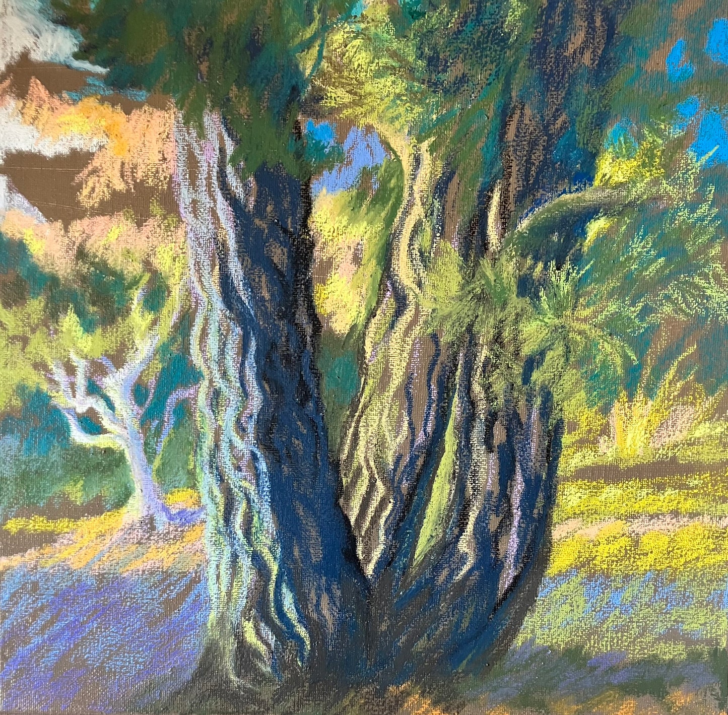 Coastal Pines at Sea Ranch