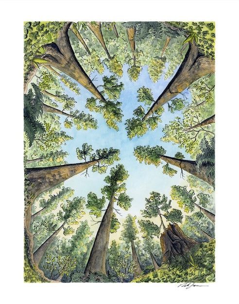 Surrounded by Giants