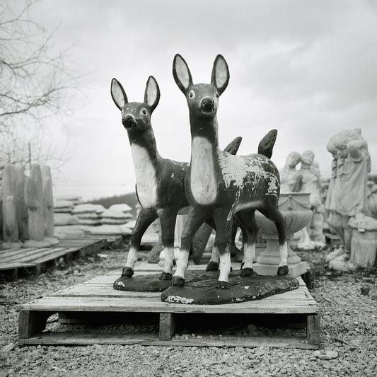 Reindeer Pallet, Chambersburg, Pennsylvania