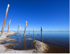 Poles in Water