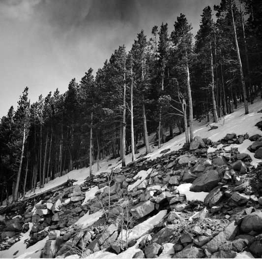 Pines Rock, Estes Park, Colorado