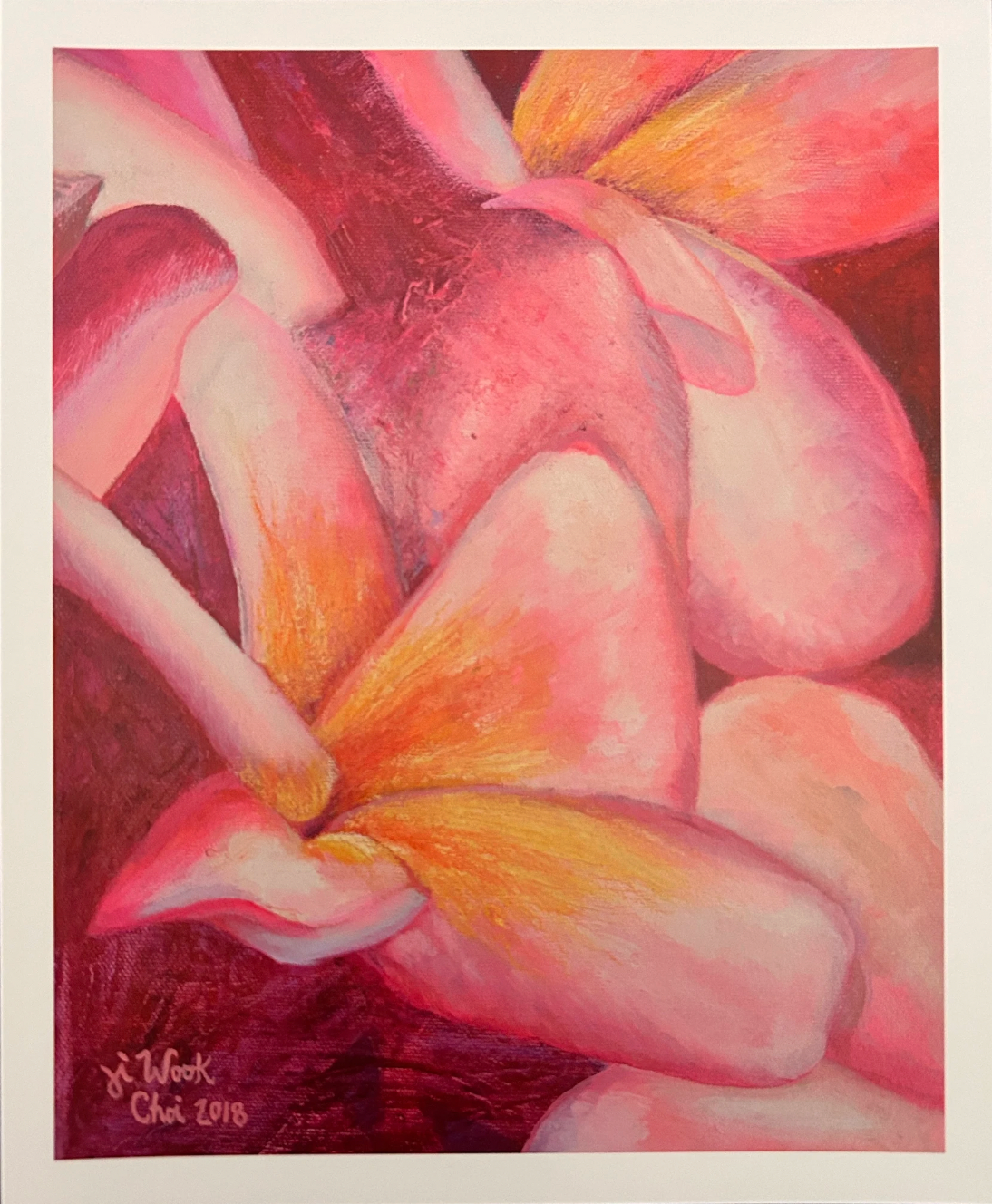 Pink Plumeria