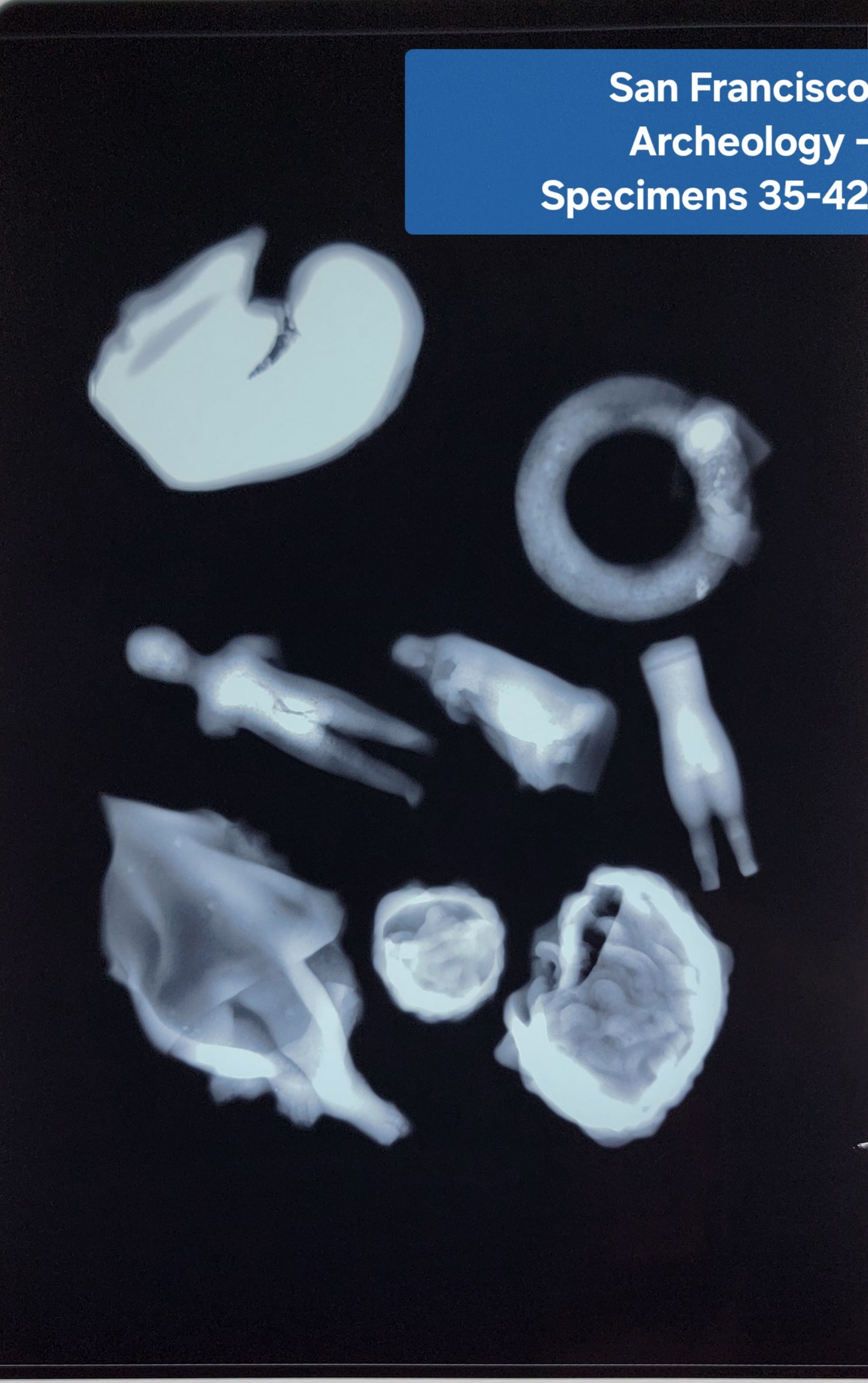 San Francisco Archaeology - Specimens 35-42