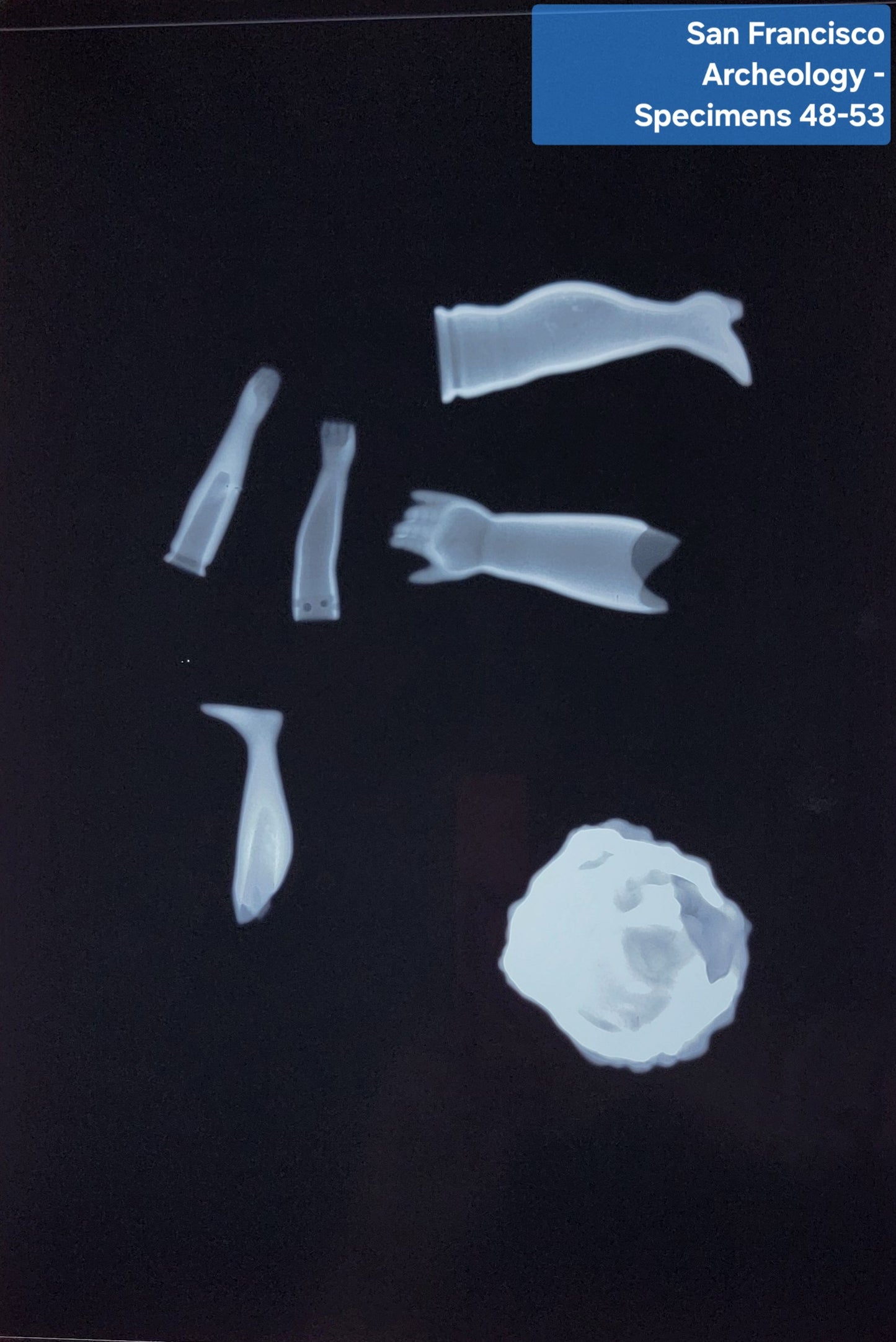 San Francisco Archaeology - Specimens 48-53