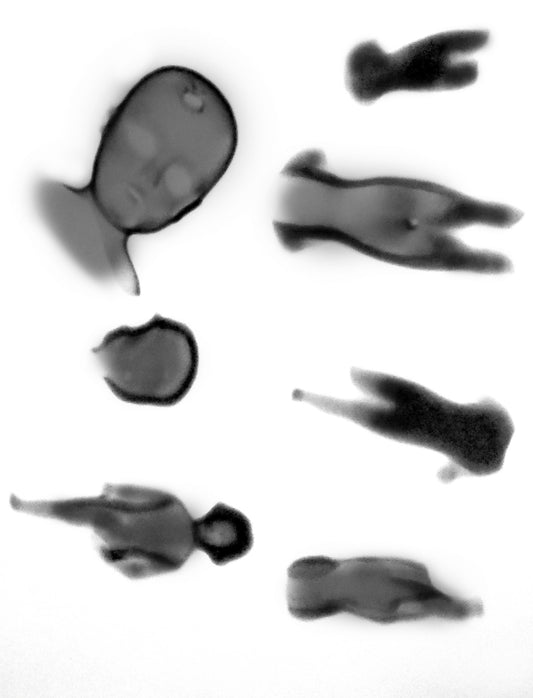 San Francisco Archeology 013