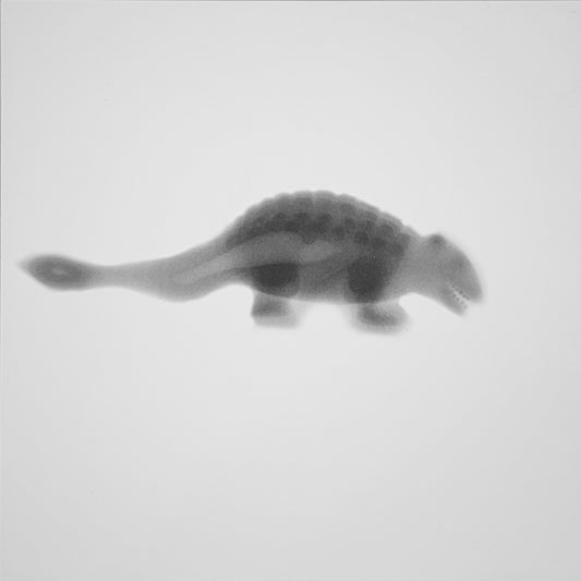 Toy: 27 (armadillo)