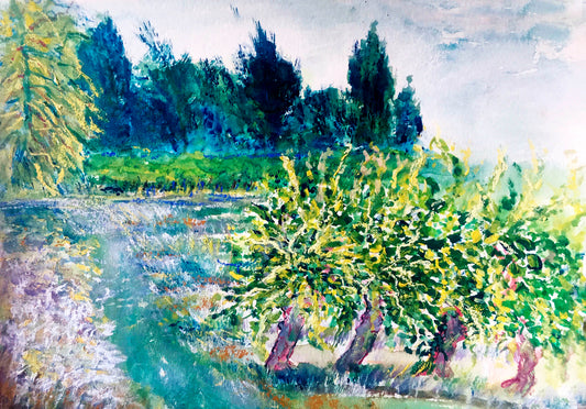 Lush Vineyard