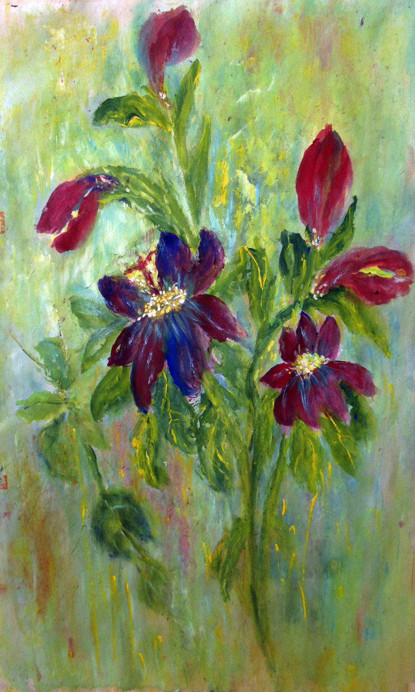 Passion Flowers