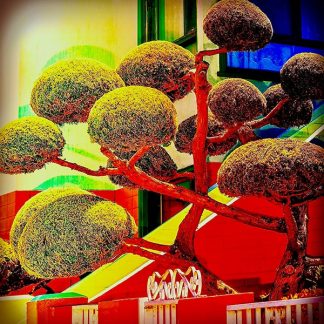Topiary #025
