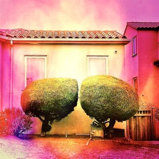 Topiary #031