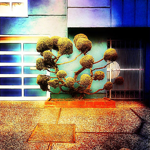 Topiary #033
