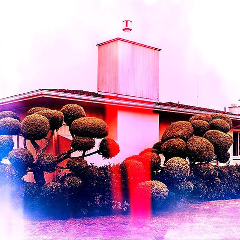 Topiary #036