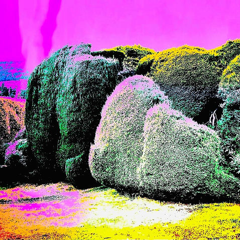 Topiary #037