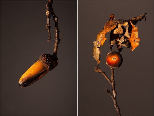 Burned diptych