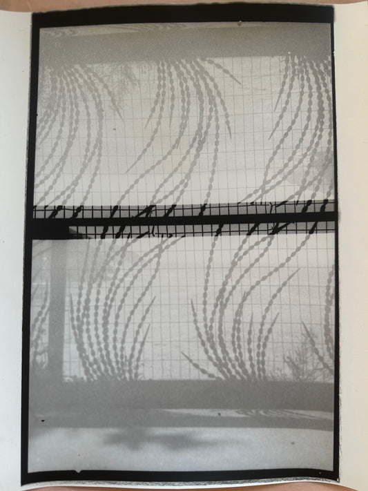 Esalen Fence, Big Sur, 2024