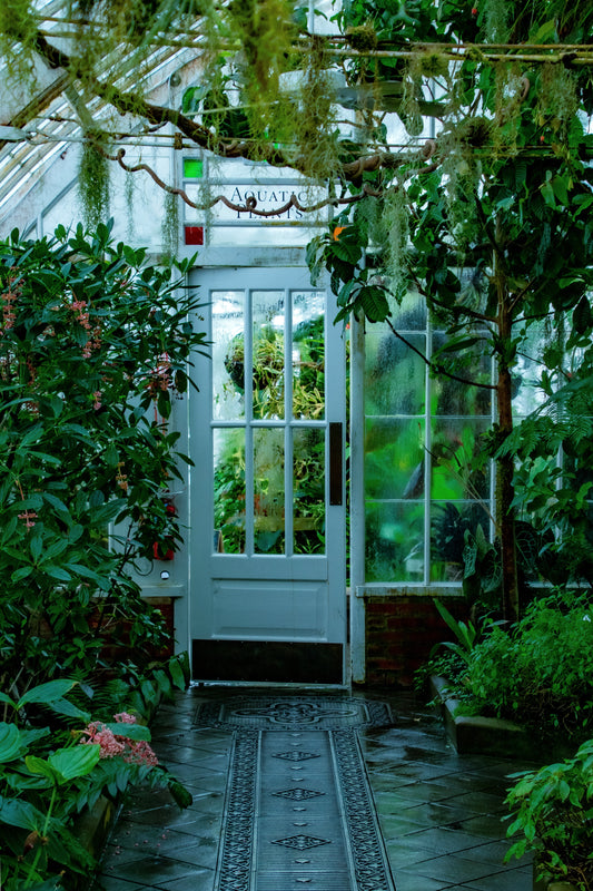 The Green Room