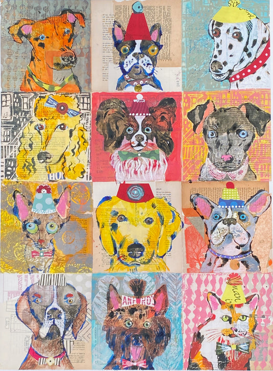 Eleven Dog and One Cat