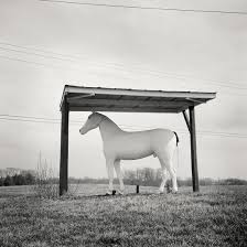 Horse Shelter, Chambersburg, Pennsylvania