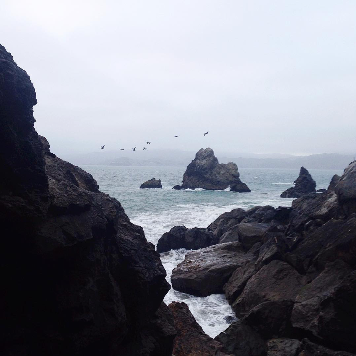 Sutro Bathing