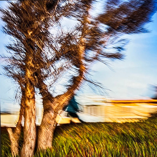 Seen Along the Great Highway 1