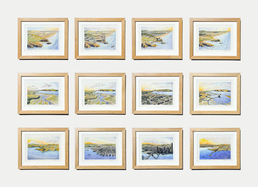 Ever-Changing: A Story of San Francisco's Shifting Landscapes