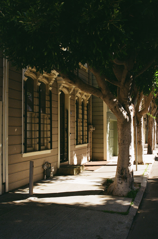 San Francisco to the People: Afternoon shadows