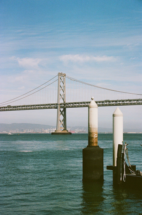 San Francisco to the People: As seagulls await