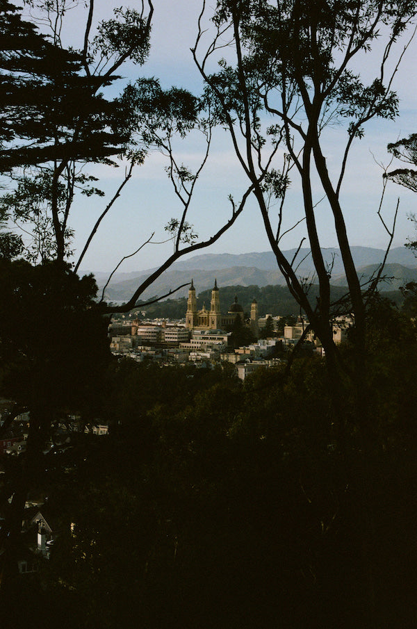 San Francisco to the People: St. Ignatius Church