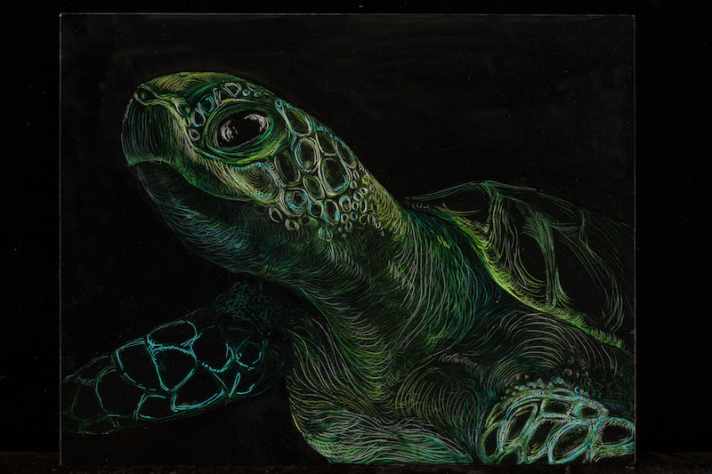 Green Turtle